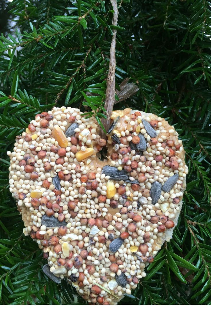 Birdseed Ornaments