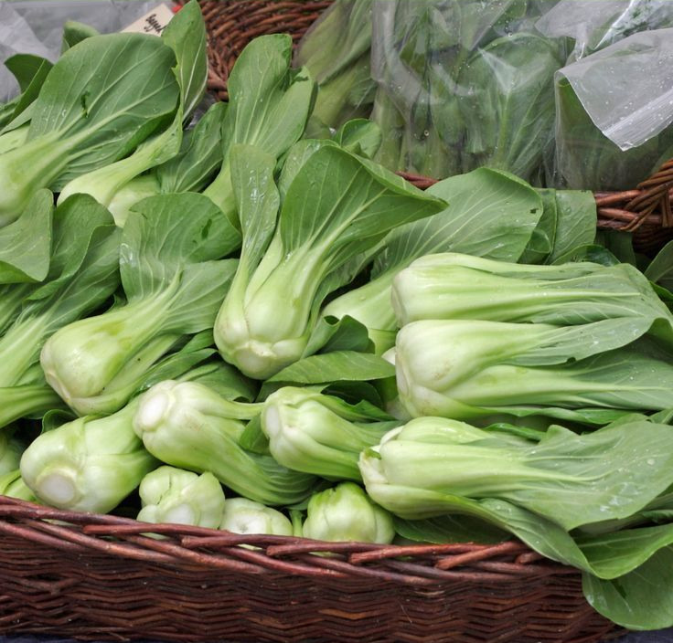 Bok Choy