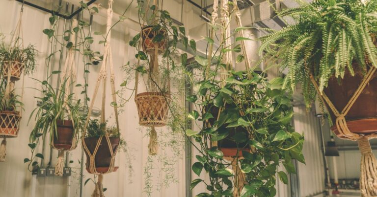 Bring These 15 Plants Indoors This Winter