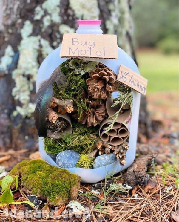 Building a Bug Hotel