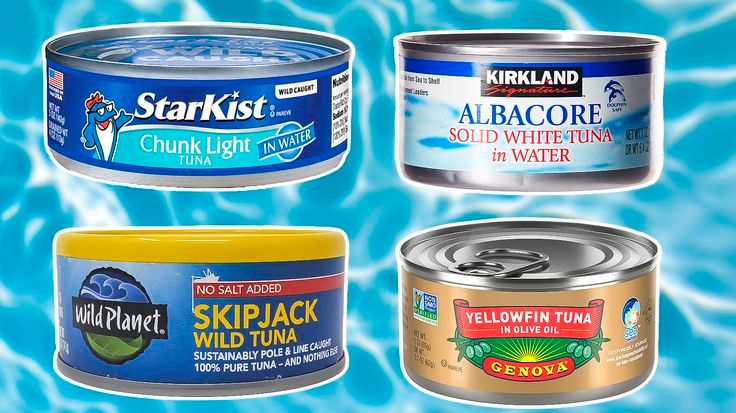 Canned Fish