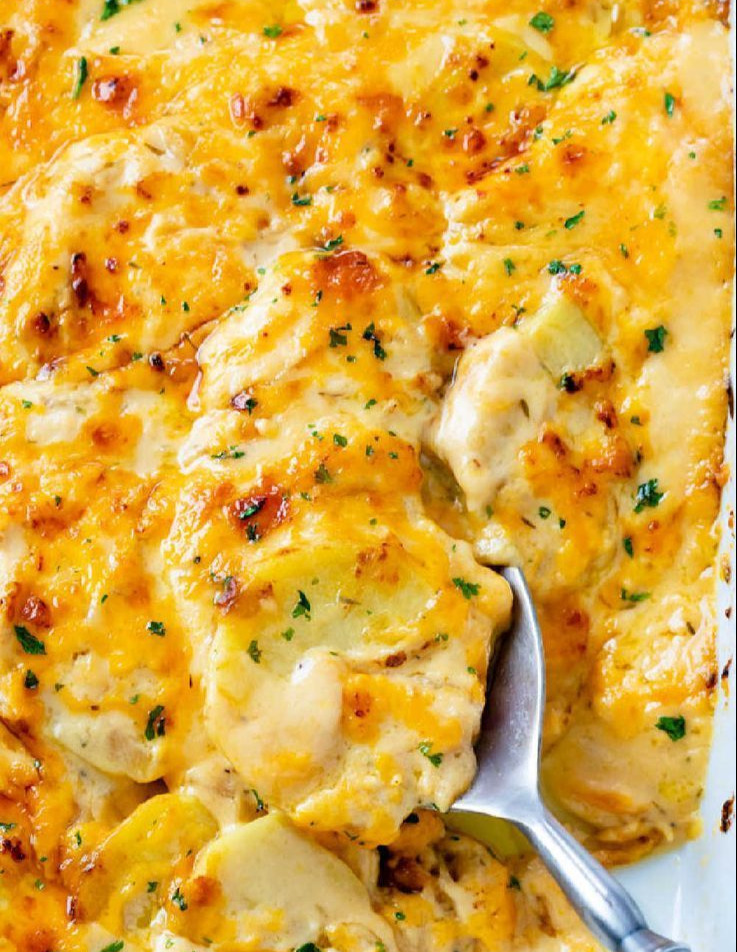 Cheesy Scalloped Potatoes