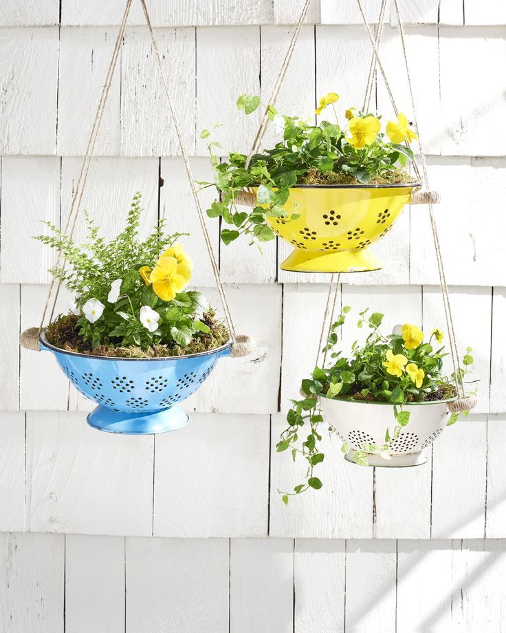 Colander Planter