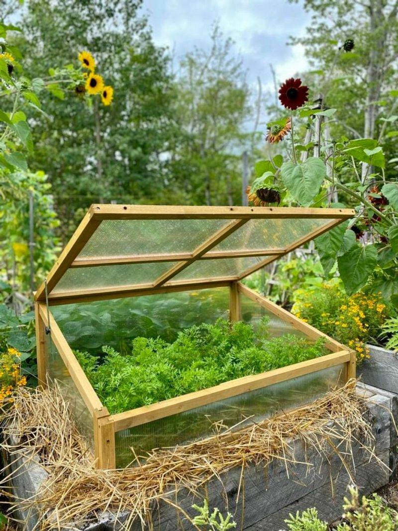 Cold Frames