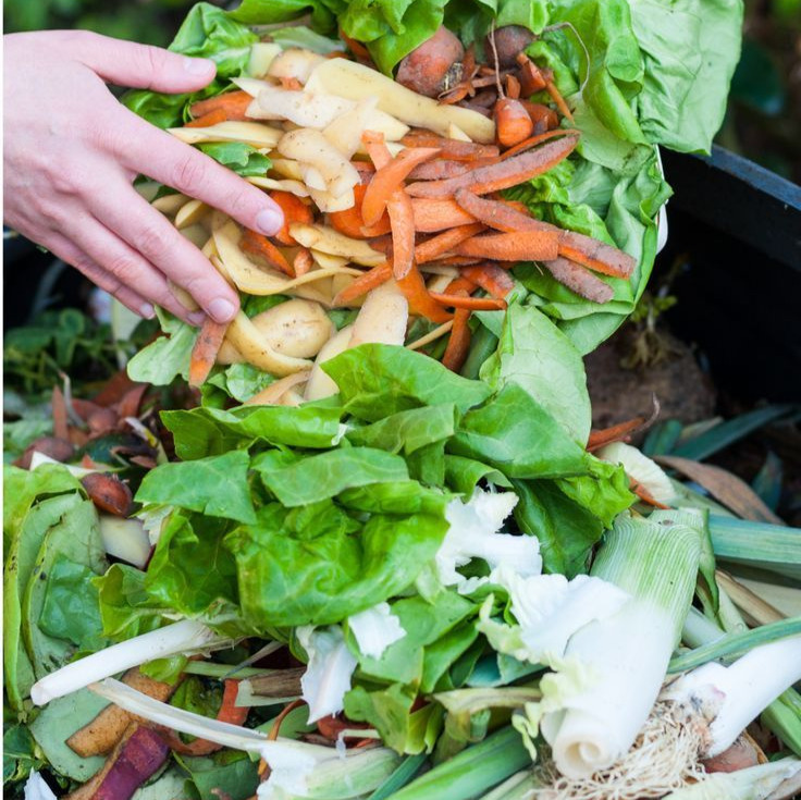 Composting Kitchen Scraps