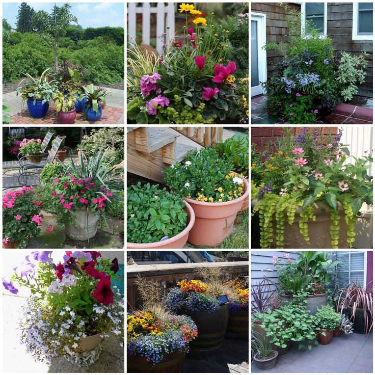 Container Gardening