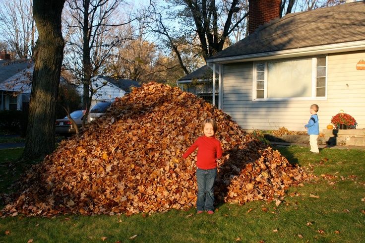 Create Leaf Piles