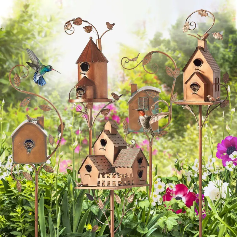 Create a Bird-Friendly Habitat