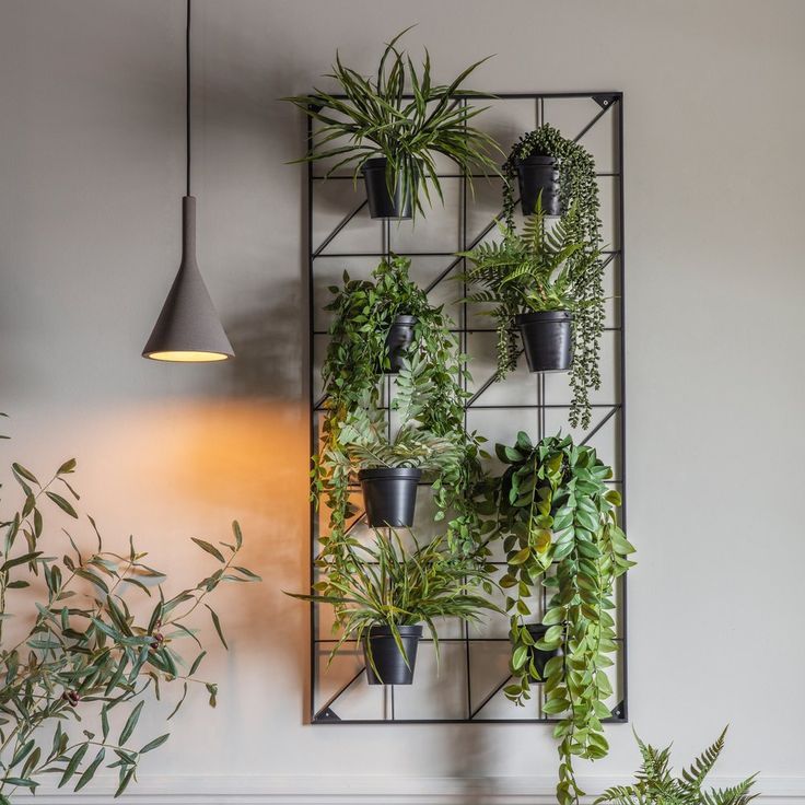 Create a Plant Shelf