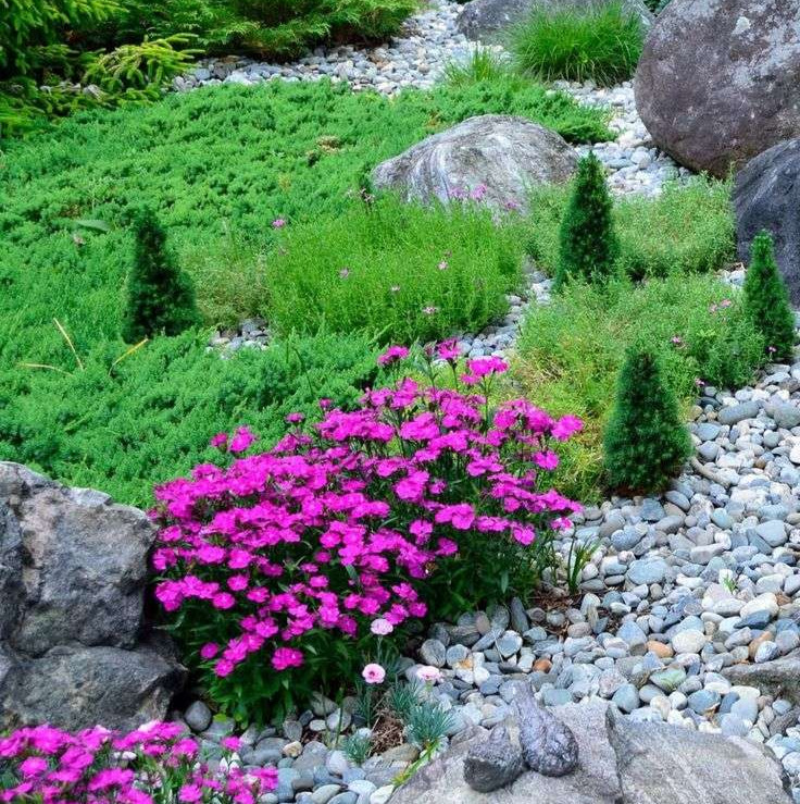 Create a Rock Garden