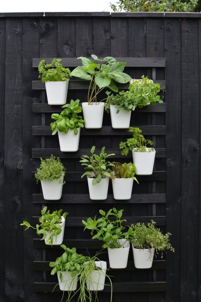 Create a Vertical Garden