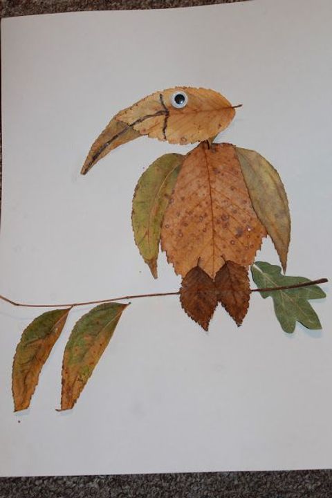 Creating Leaf Art