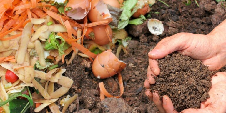 Cultivate a Sustainable, Waste-Free Garden