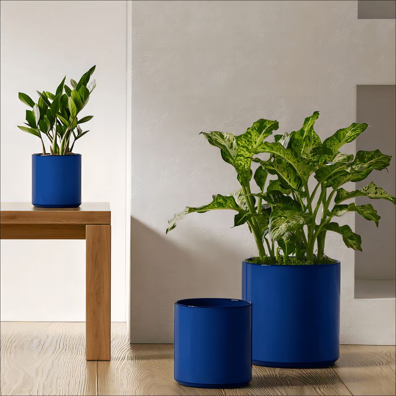 Decorative Plant Pots Set