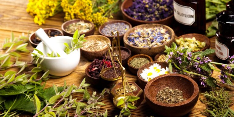 Discover the Top 25 Herbs Every Gardener Should Grow for Delicious Christmas Dishes