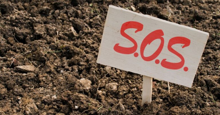 Don’t Make These 15 Landscaping Mistakes
