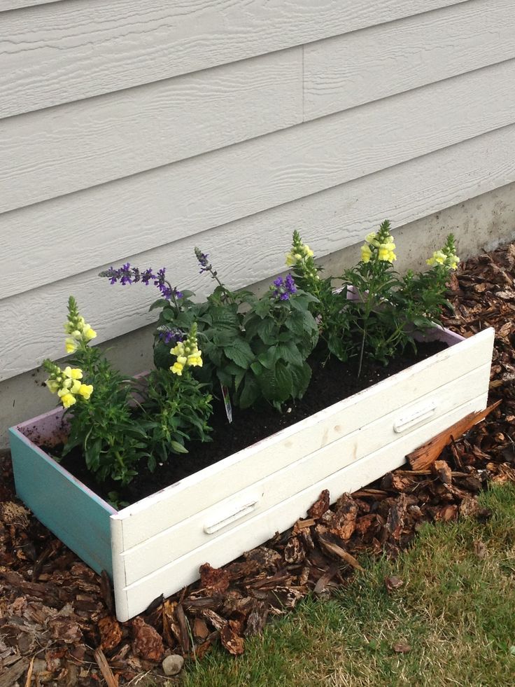 Drawer Planter