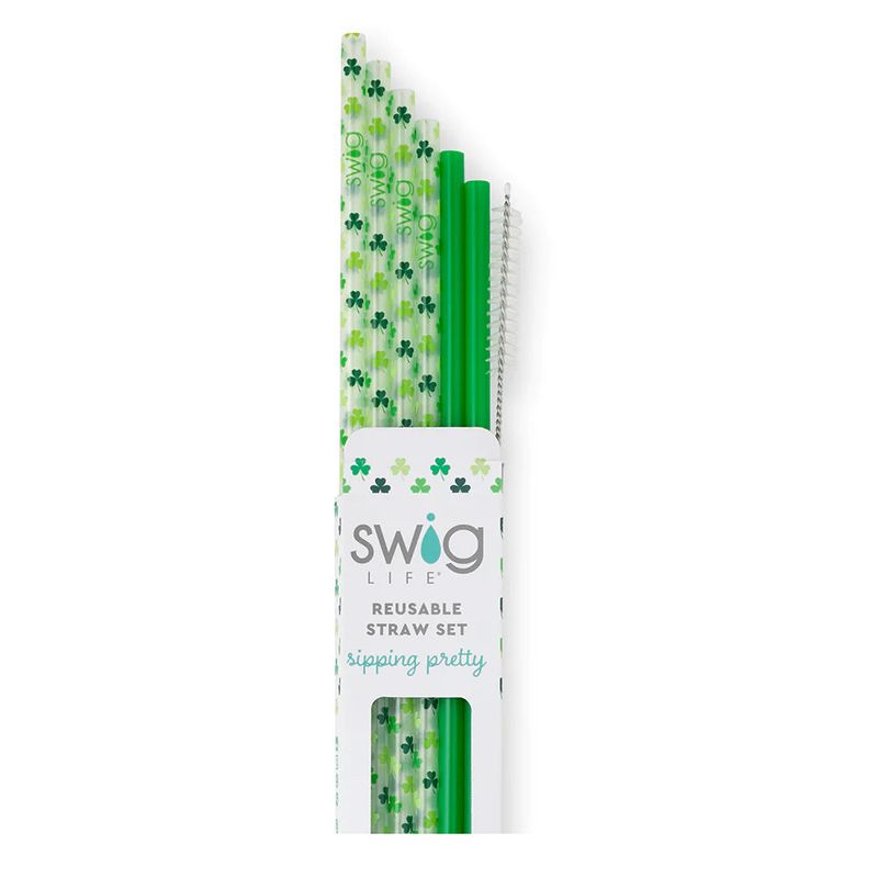 Eco-Friendly Reusable Straw Kit