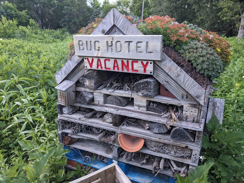 Encourage Insects with a Bug Hotel