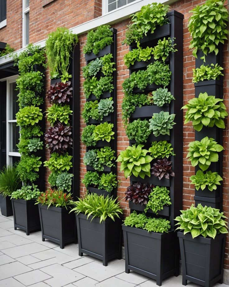 Experiment with Vertical Gardening