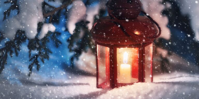 Festive Christmas Garden Creations and Sweet Treats