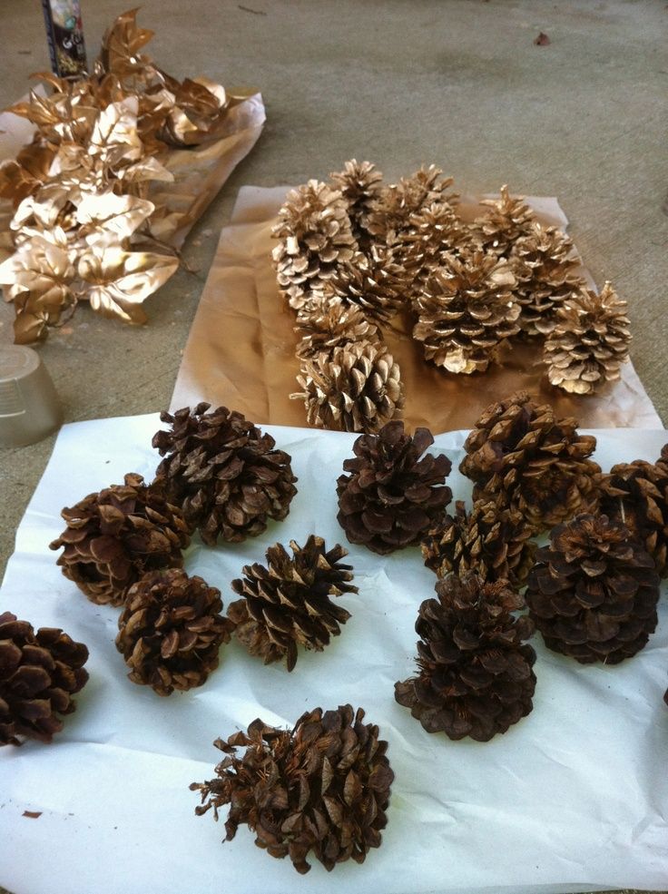 Gold-Dipped Pinecones