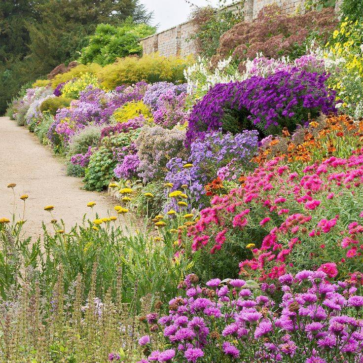 Herbaceous Borders