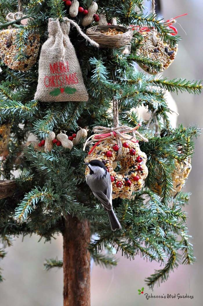 Homemade Birdseed Ornaments