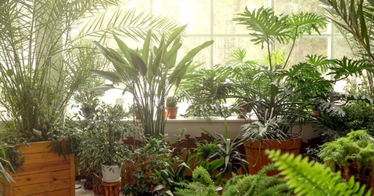 How to Create a Cozy Urban Jungle