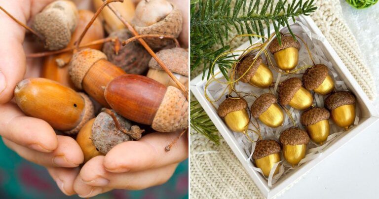 How to Turn Fallen Acorns into Autumn Decor