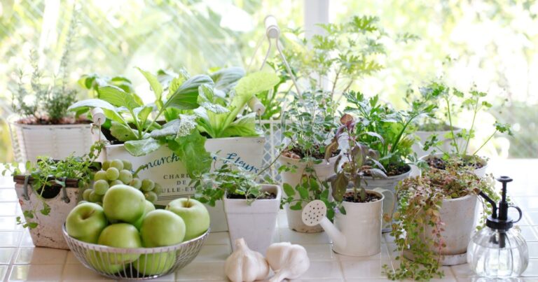 Indoor Oasis: Designing an Enchanting Window Garden