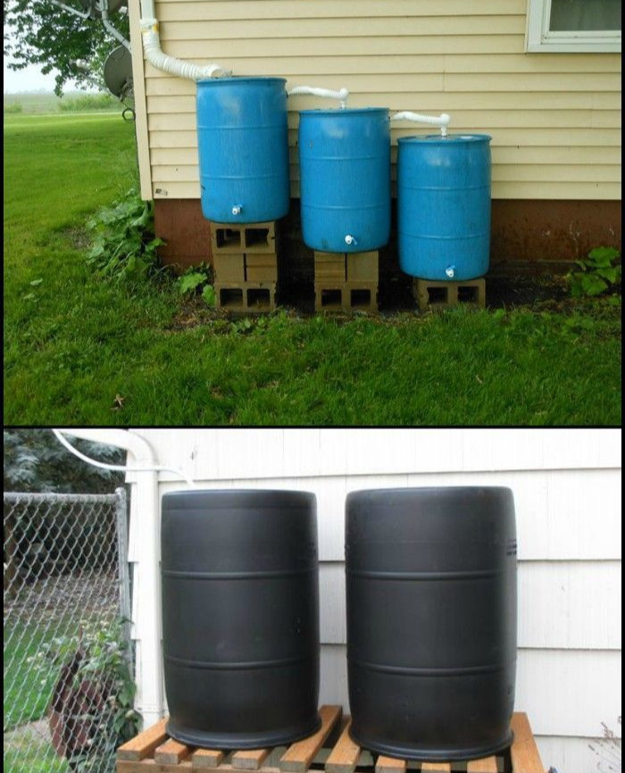 Install a Rain Barrell