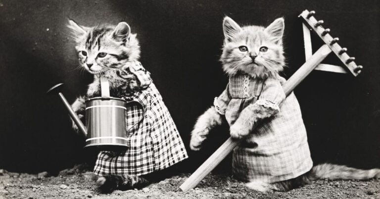Is Your Garden Ready for Curious Cats? 11 Ways to Protect It