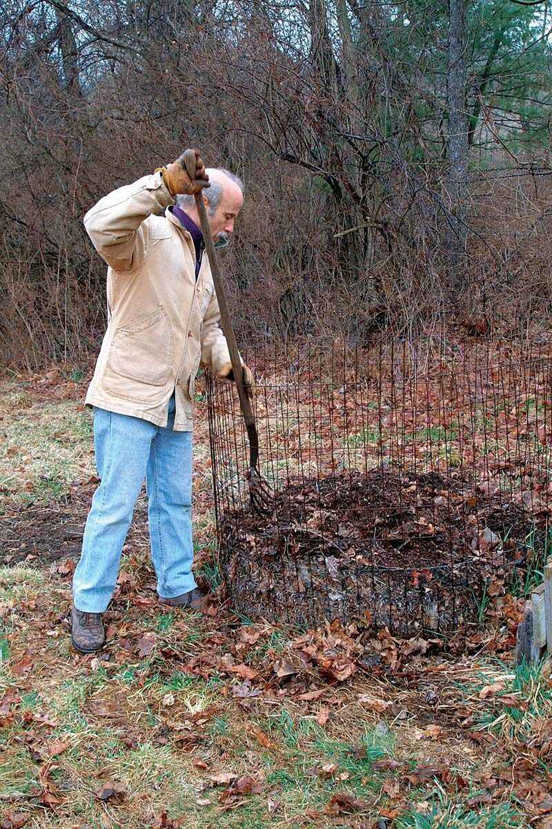 Leaf Mold Creation