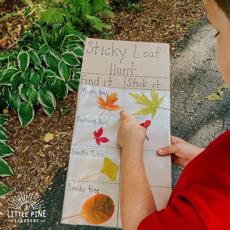 Leaf Scavenger Hunt