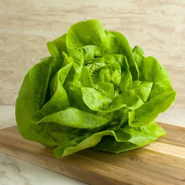 Lettuce