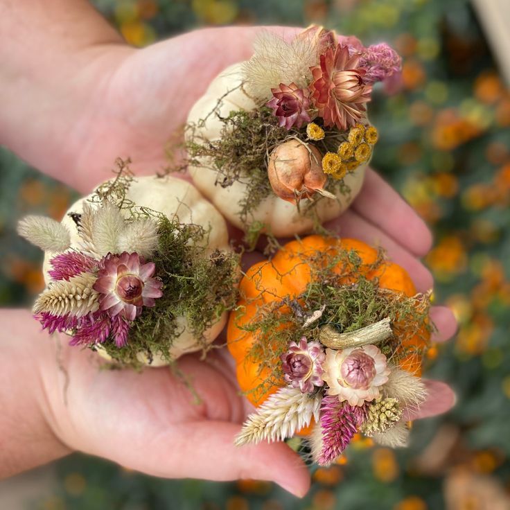 Miniature Pumpkins