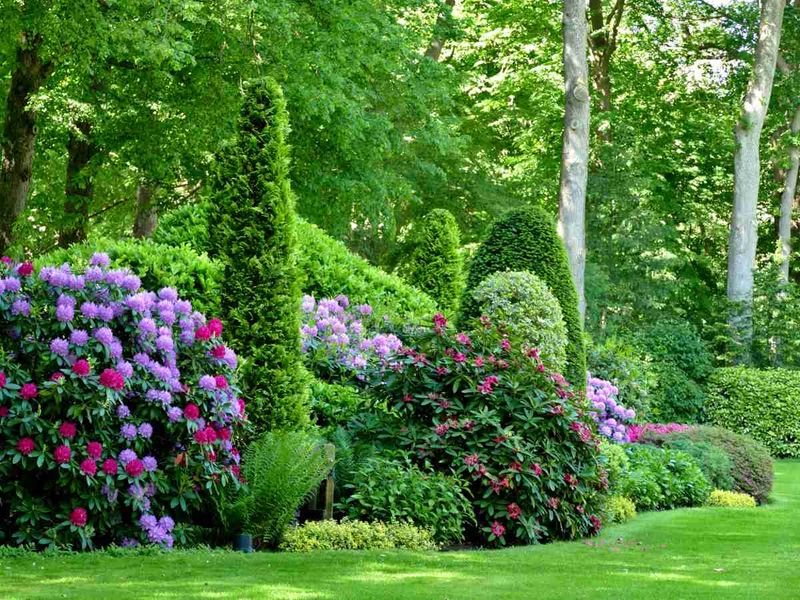 Mixed Shrub Borders