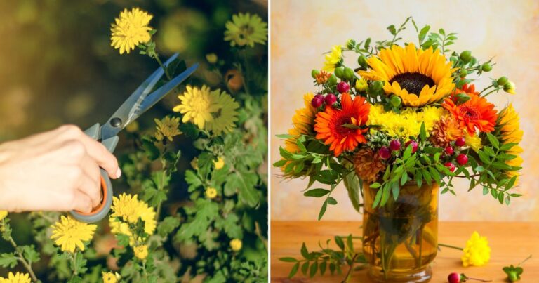 10 Must-Know Secrets for Growing a Blooming Cut Flower Garden