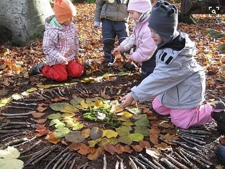 Nature Mandalas