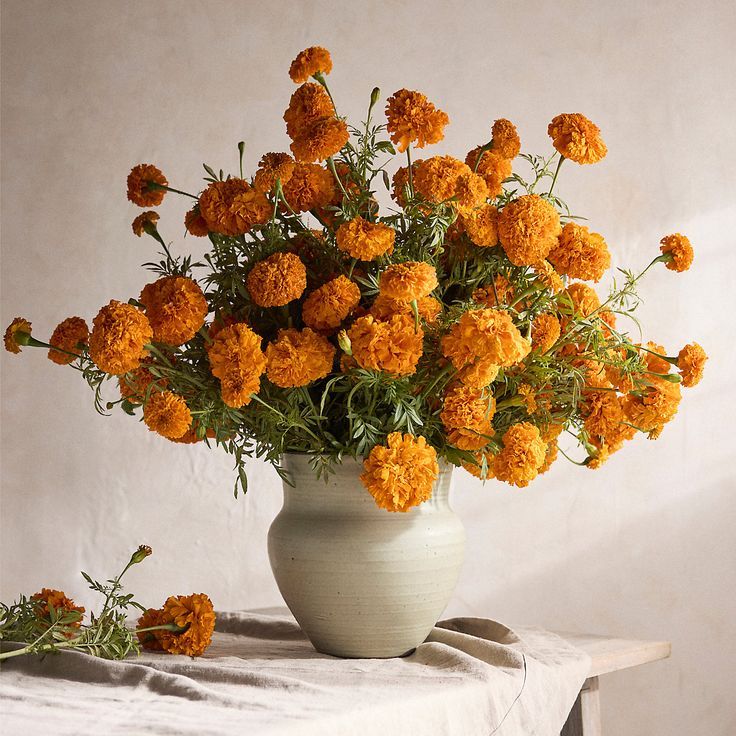 Orange Marigolds