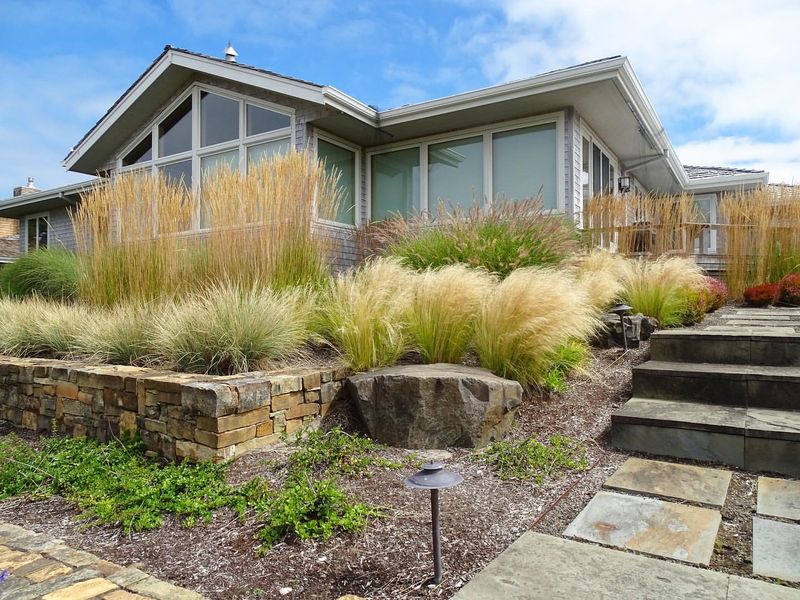 Ornamental Grasses