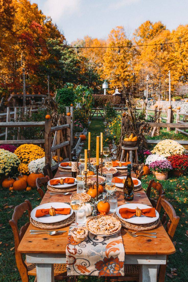 Outdoor Harvest Feast