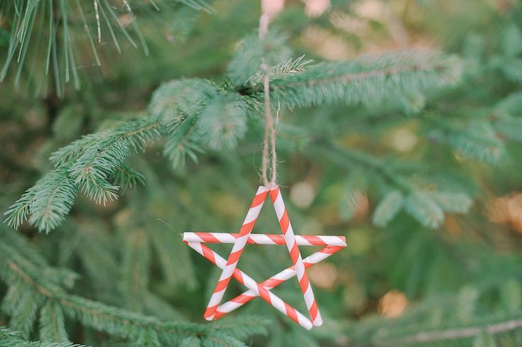 Paper Straw Stars