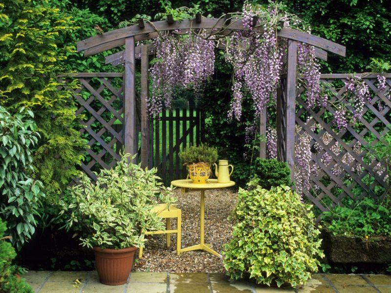 Pergola with Vines