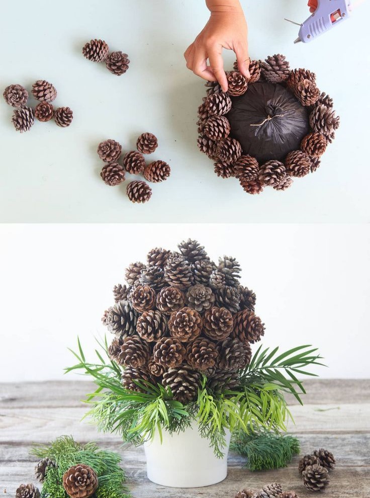 Pine Cones