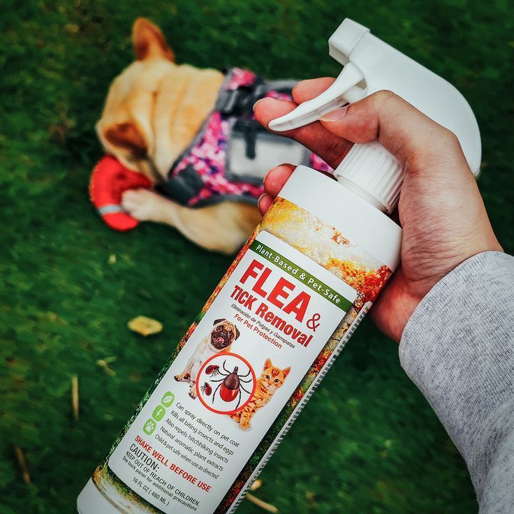 Protect Against Fleas and Ticks