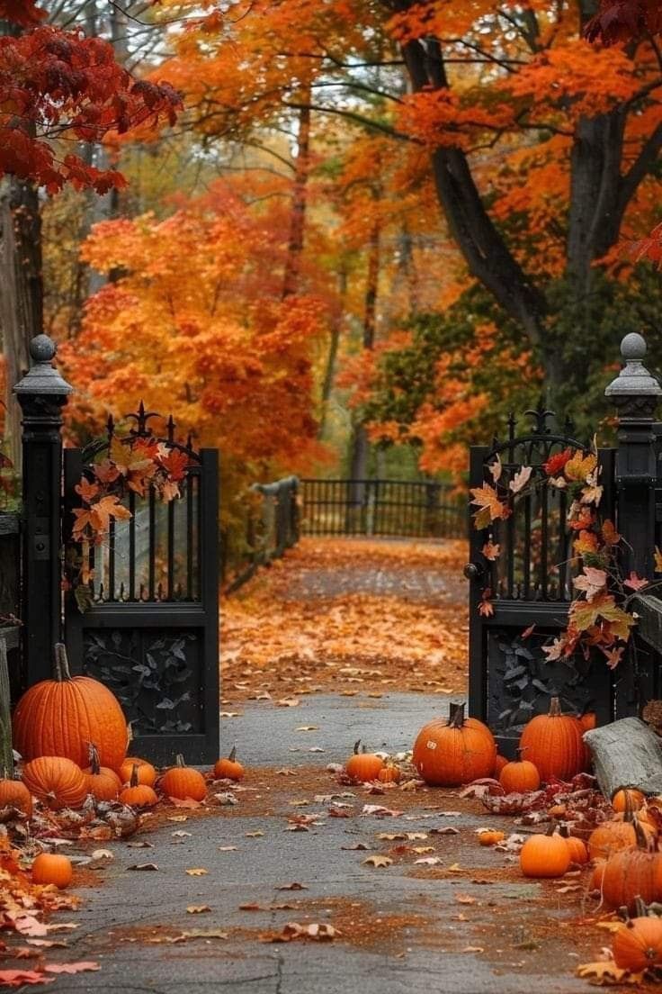 Pumpkin Pathway