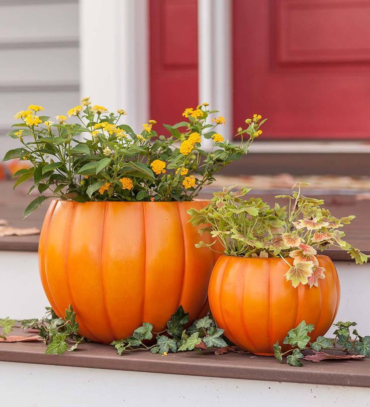 Pumpkin Planters