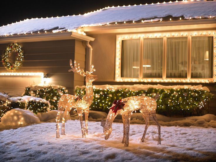 Reindeer Lawn Decorations